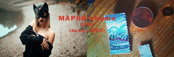 apvp Инсар
