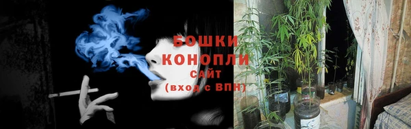 молекула духа Иннополис
