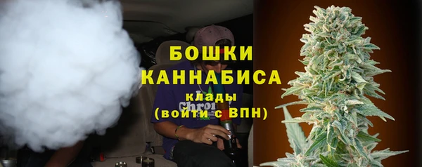 молекула духа Иннополис