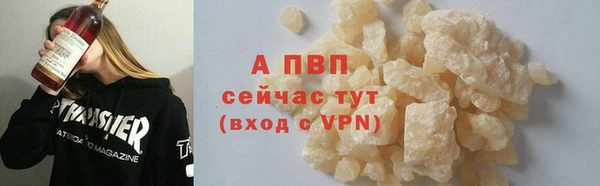 стафф Каменногорск