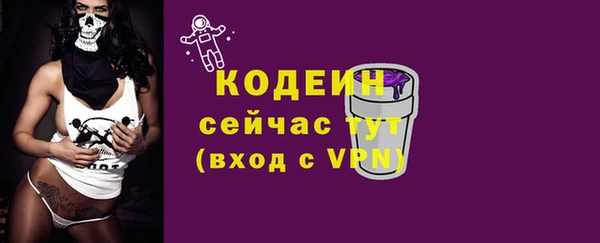 apvp Инсар