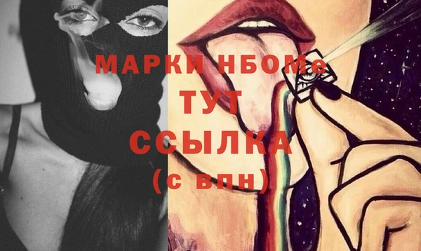 apvp Инсар