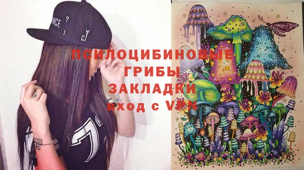 мескалин Каменка
