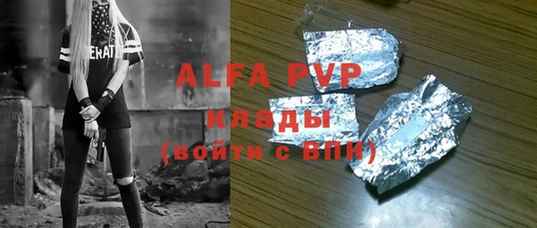 apvp Инсар