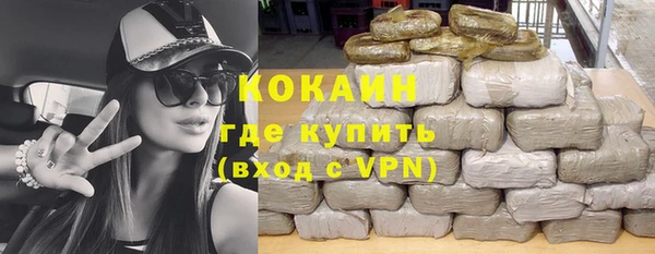 стафф Каменногорск