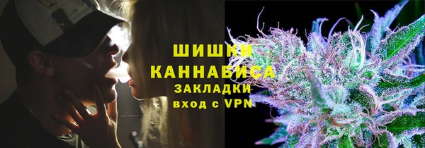 apvp Инсар