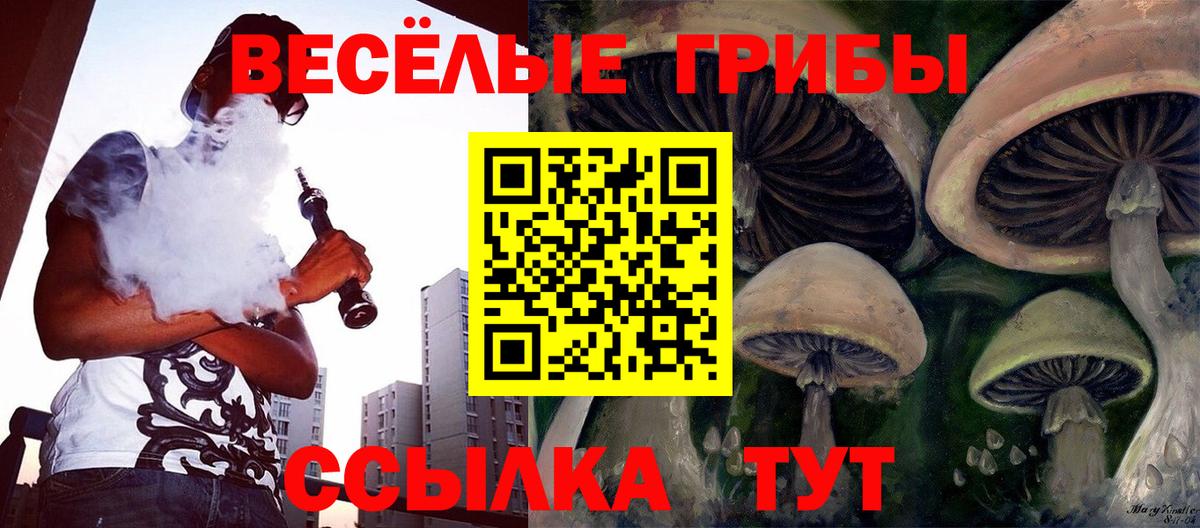 Кстово  Галлюциногенные грибы Cubensis  Галлюциногенные грибы Magic Shrooms  Вход с VPN 