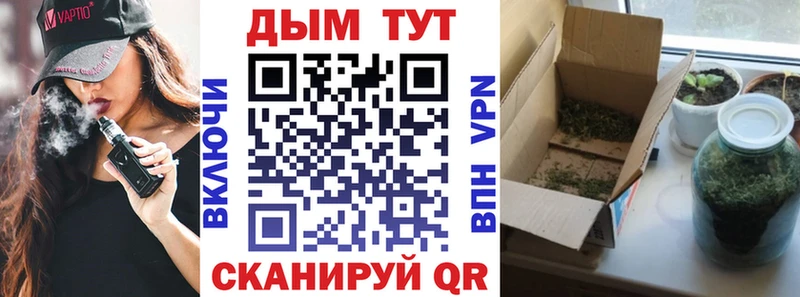 хочу наркоту  Кстово  Каннабис White Widow 